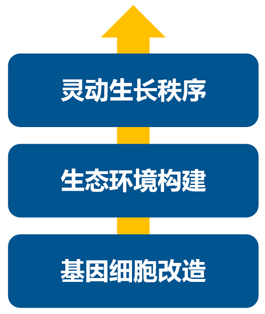 消費升級大時代，品牌如何進行戰略升級？