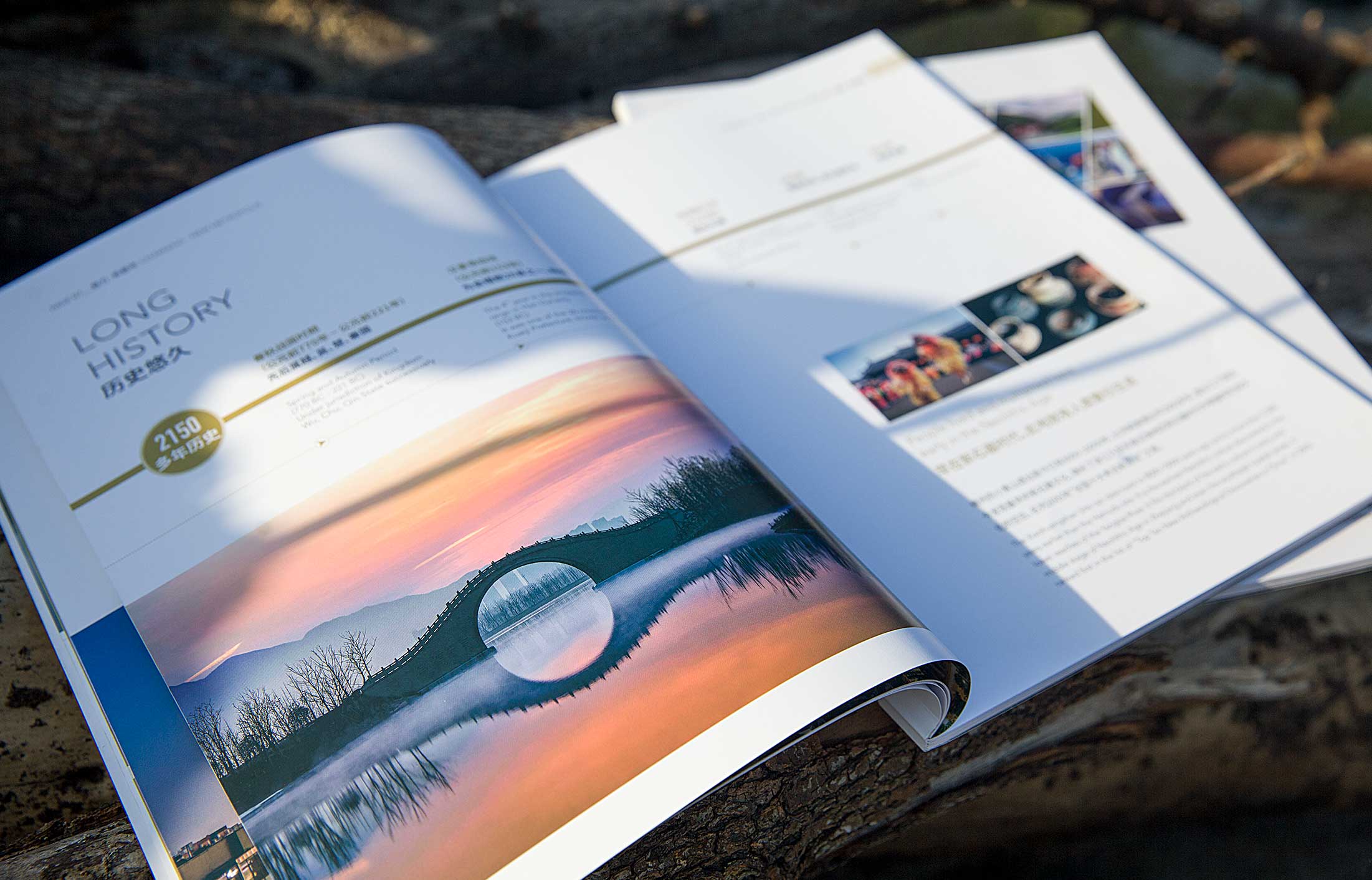 畫冊設(shè)計視覺空間漢字的分配