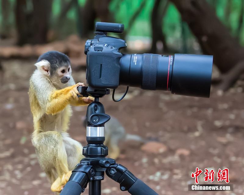 宣傳片拍攝時突出主體?