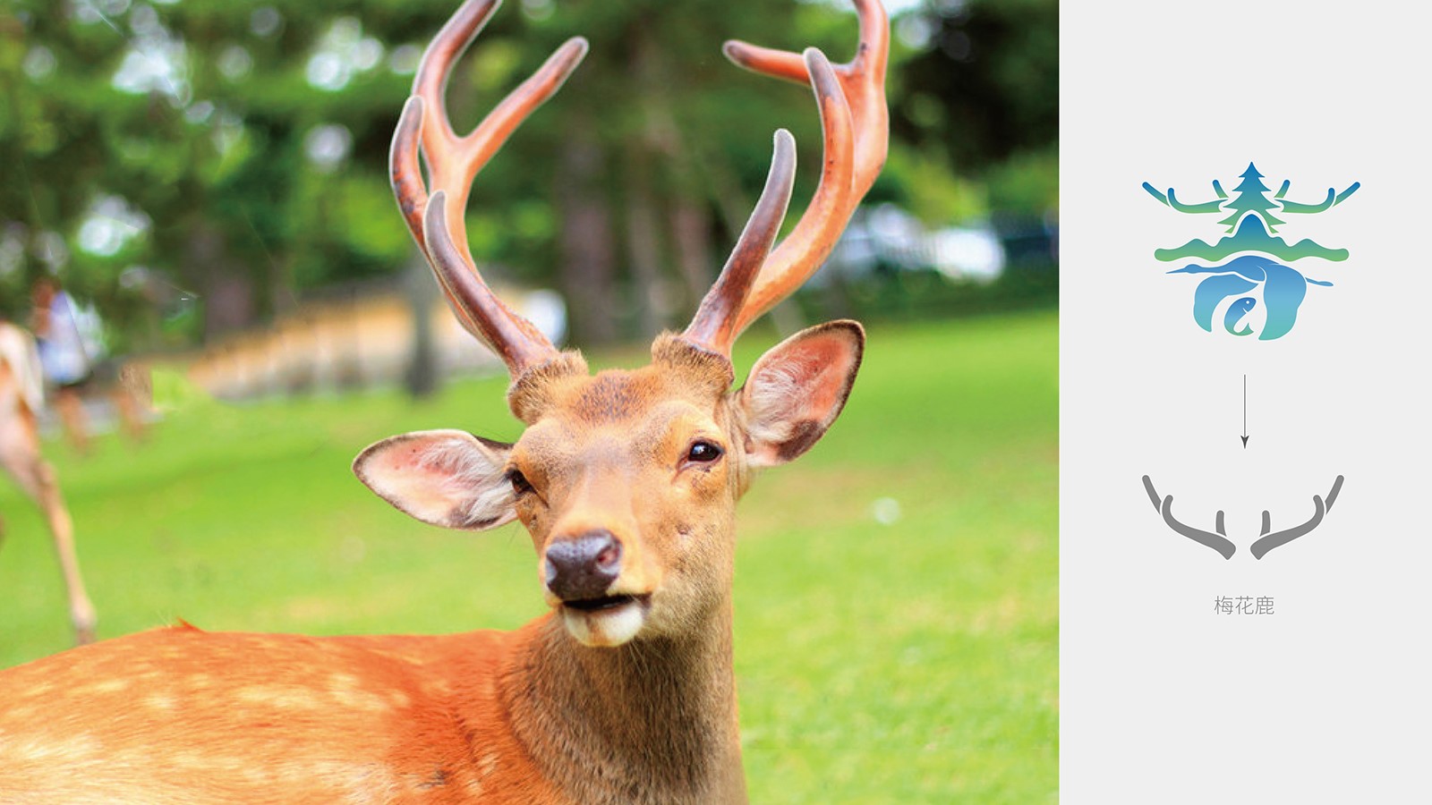 企業(yè)整套vi設(shè)計價格值不值？