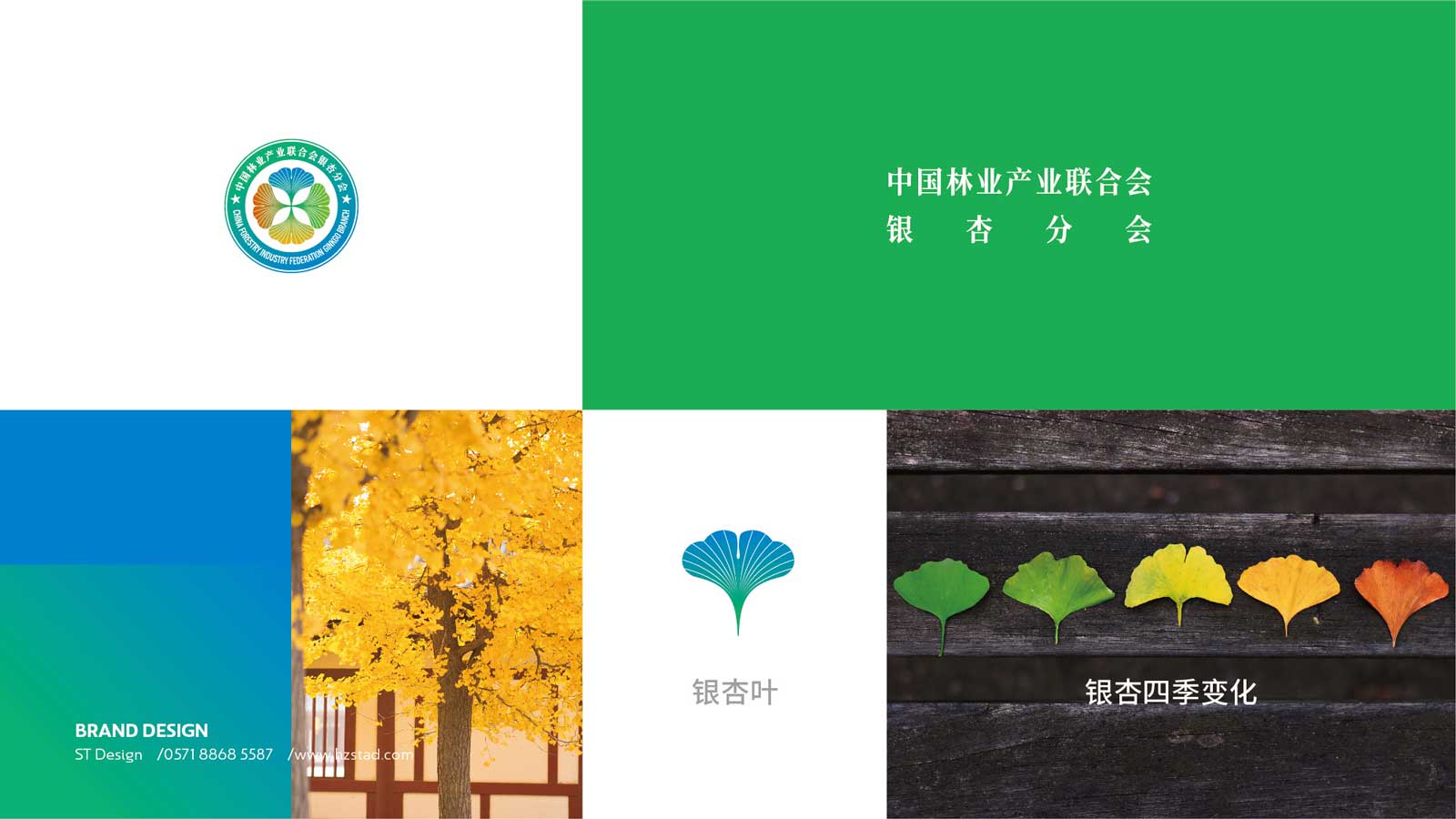 1627375969838157.jpg 1623109536149288.jpg