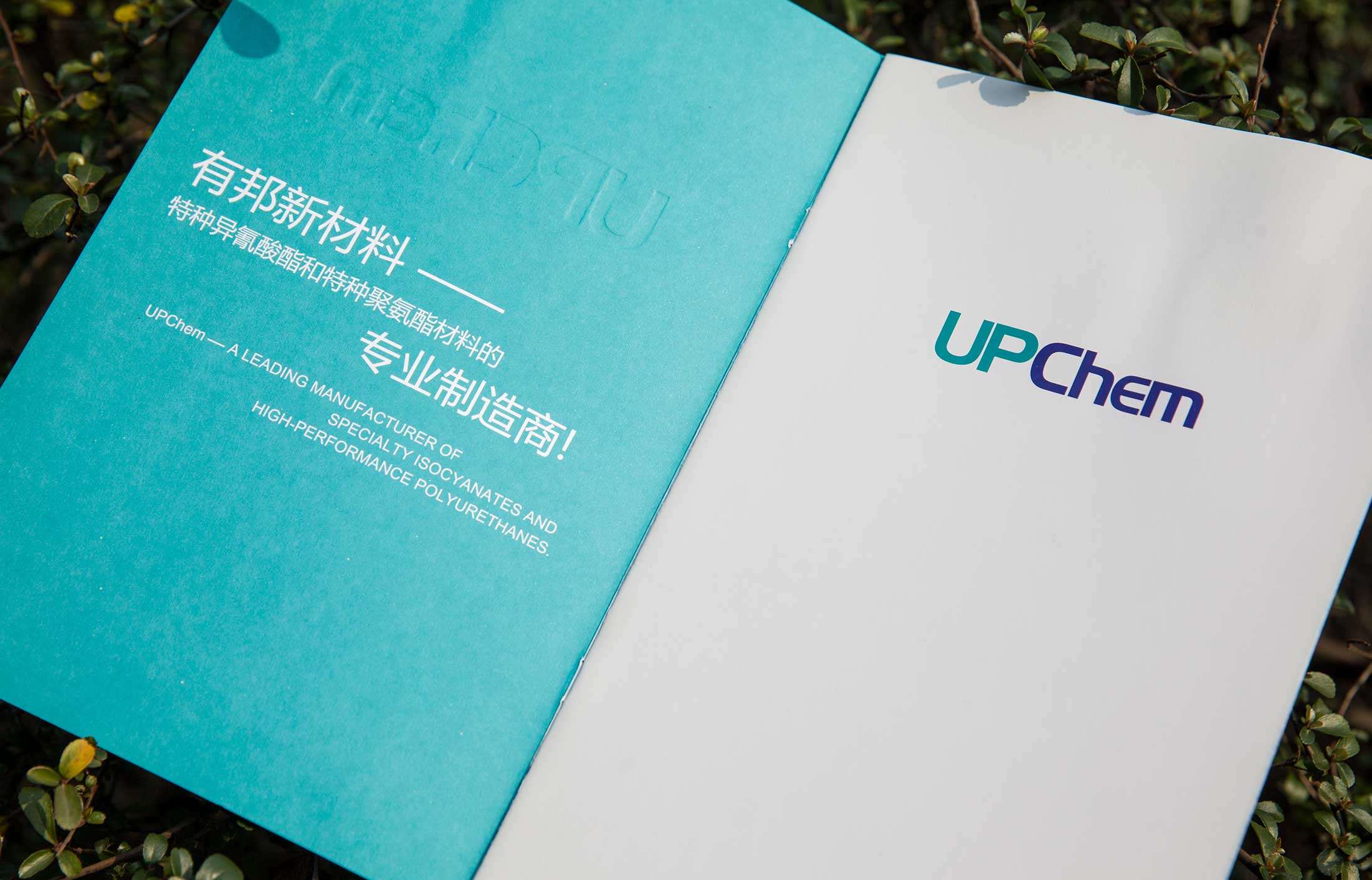 1627720366359693.jpg 18947577.JPG