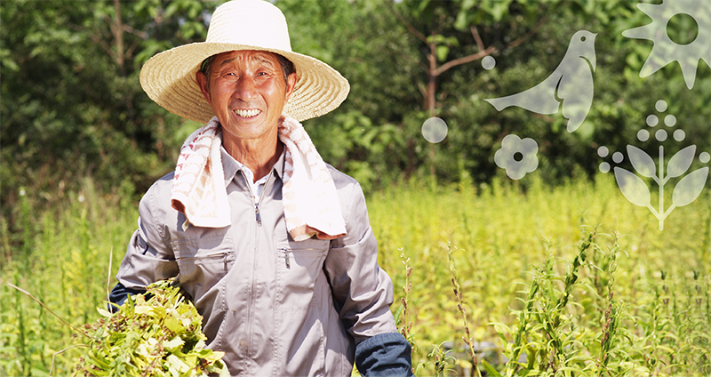 品牌形象vi設計公司