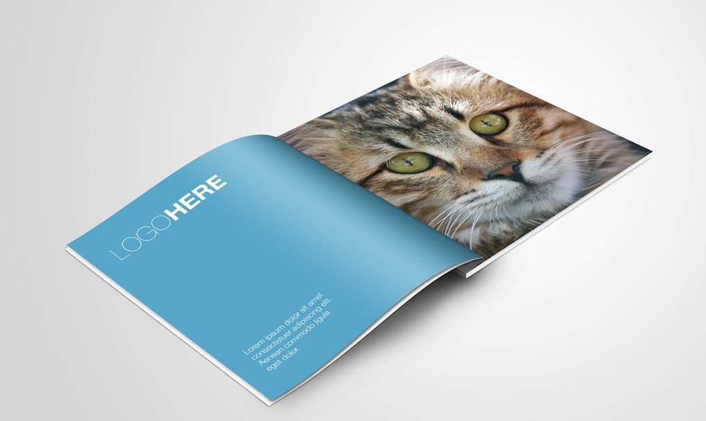 畫冊(cè)設(shè)計(jì)