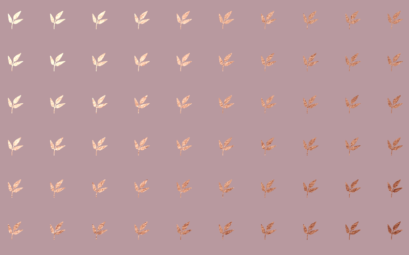 為了博得美人一笑，甜品包裝也是拼了……