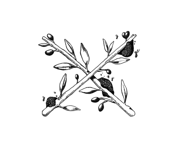 Helleo天然肥皂系列品牌包裝設計，六個肥皂，六個故事